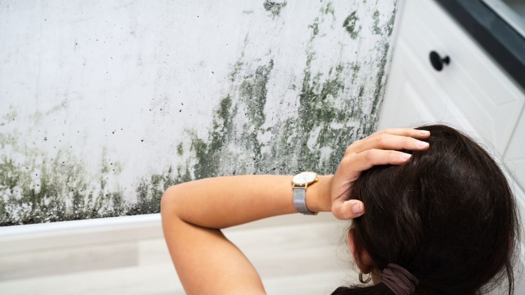 A woman in Tallahassee, FL, finds mold in her home before mold remediation.