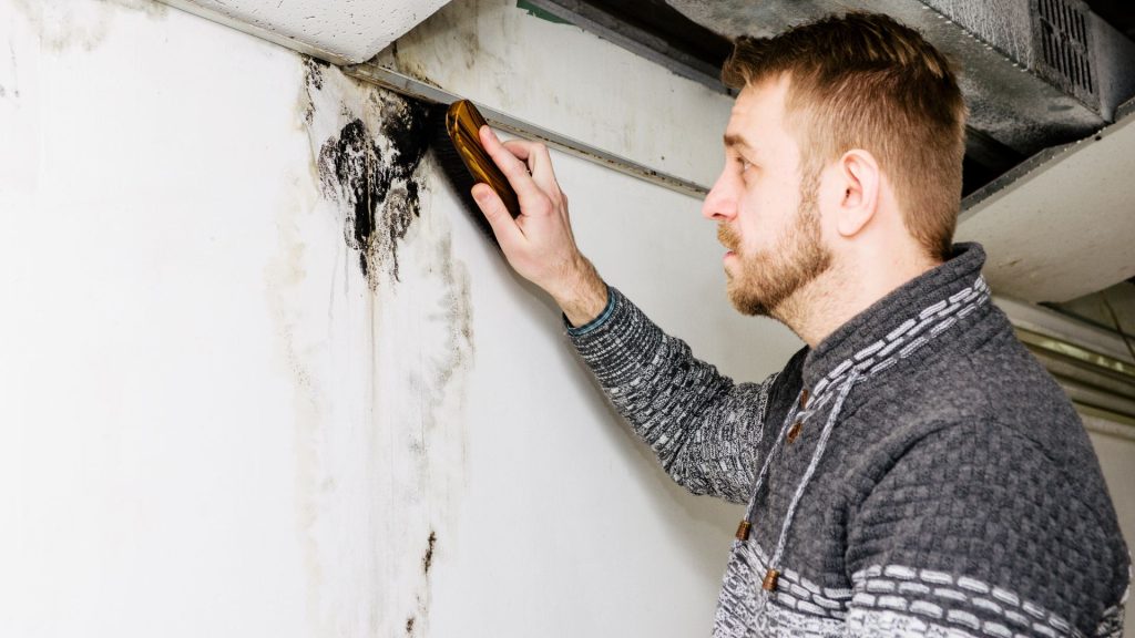 A man scrubs his wall wondering what does black mold look like.